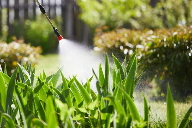 24/7 Emergency Mosquito Control experts in Ligonier, IN